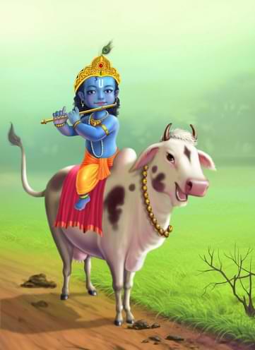 Kali Kamli Wala Mera Yaar Hai Lyrics | काली कमली वाला मेरा यार है लिरिक्स Kali Kamli Wala Mera Yaar Hai Lyrics | काली कमली वाला मेरा यार है लिरिक्स