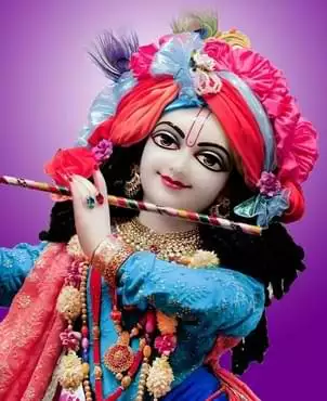 Sri Krishna Tandava Stotra in Hindi