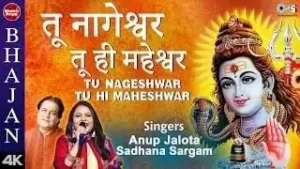 तू नागेश्वर तू ही महेश्वर लिरिक्स  | Tu Nageshwar Tu Hi Maheshwar Lyrics